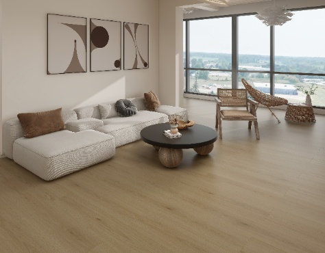 PB1511E 效果图474